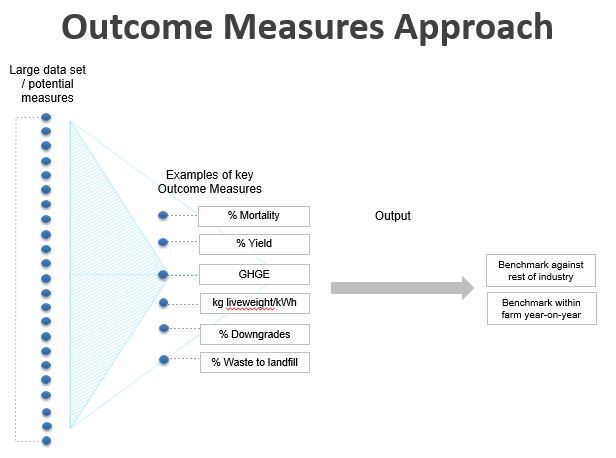 Outcome Measures Drive Producer Profitability, Sustainable Practices ...